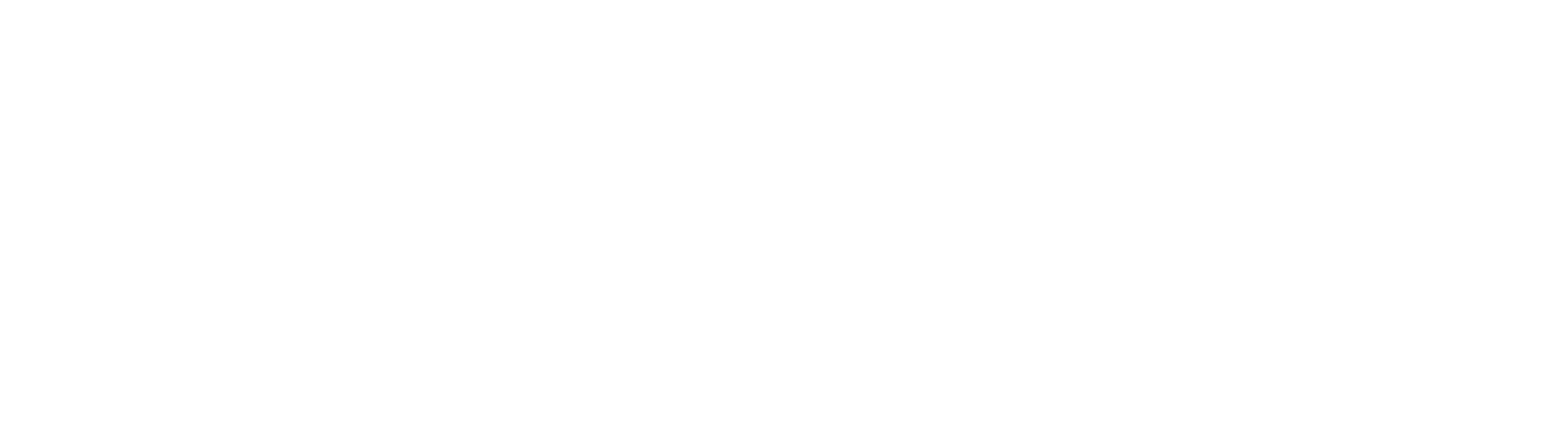 Z-bintech Kft. fehér